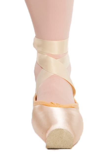 pointesuedecoversshoe_47e10f86aae0d