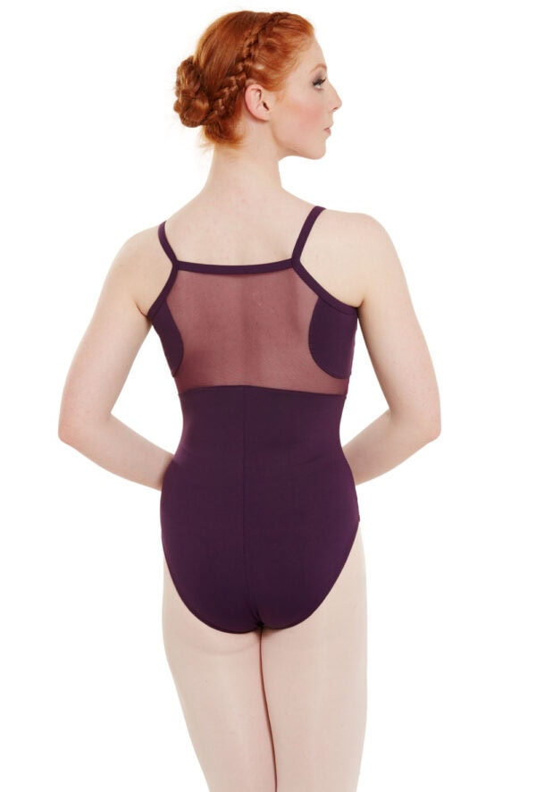 Contoured Mesh Panel Leotard