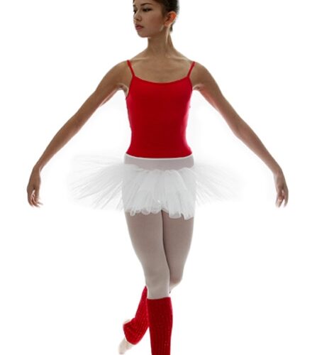 Falsliptu Tutu Skirt