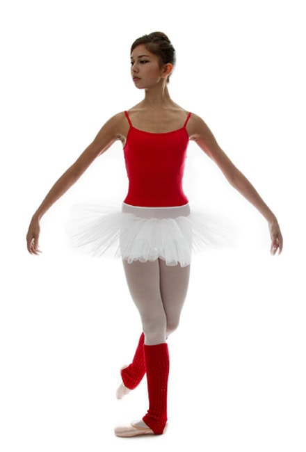 Falsliptu Tutu Skirt