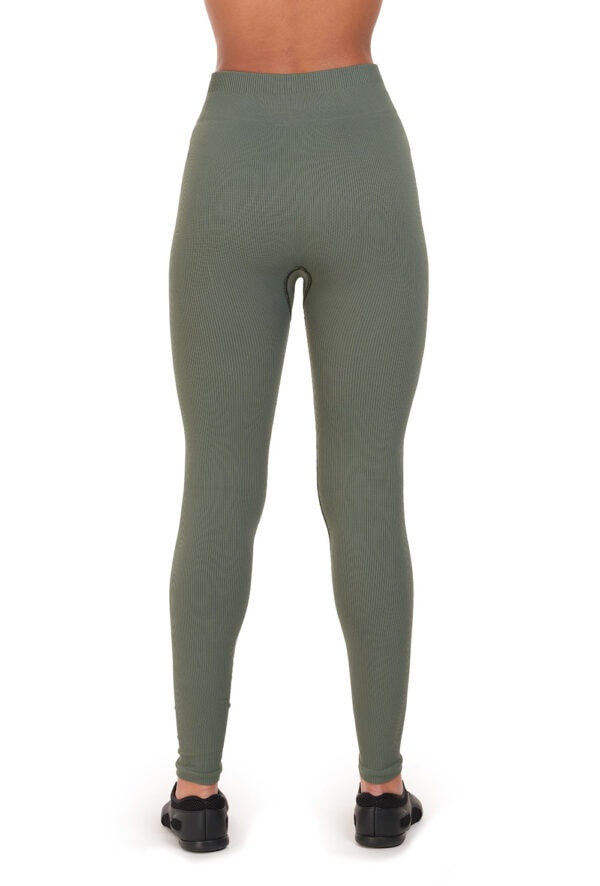 11377W-legging-SRG-back Seamless Rib Legging