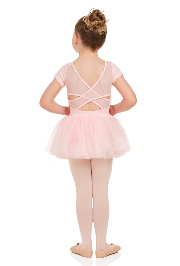 Tansie Floral Cap Sleeve Tutu Dress